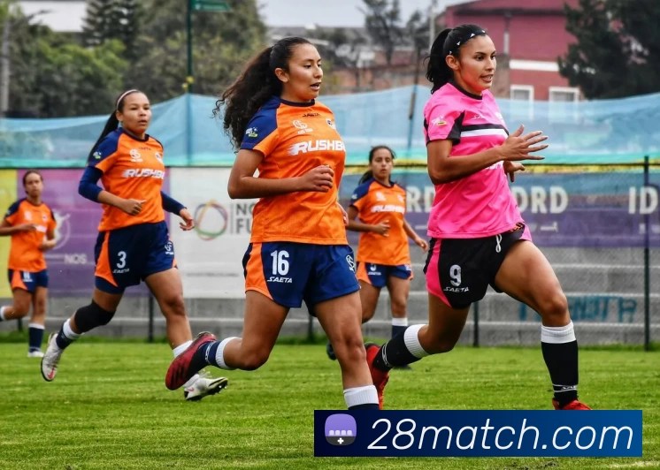 28圈官网APP 封面图